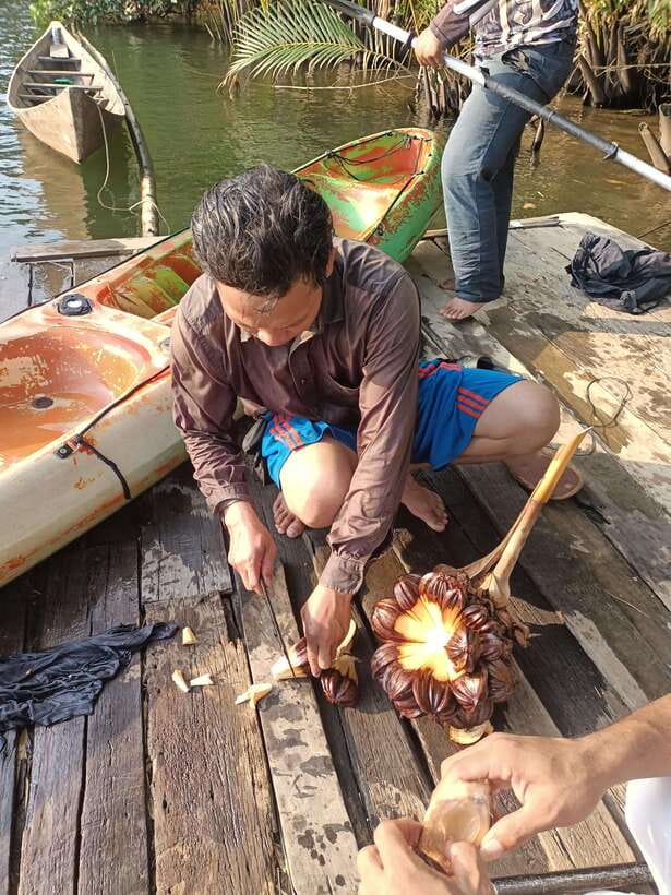 Green Cathedral Kayaking Journey & Reflection River View - Kayaking the nipa-palm maze: what it feels like on the water