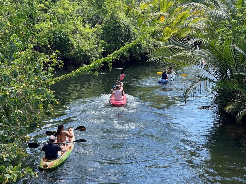 Green Cathedral Kayaking Journey & Reflection River View - Swimming and hammocks: the best kind of break