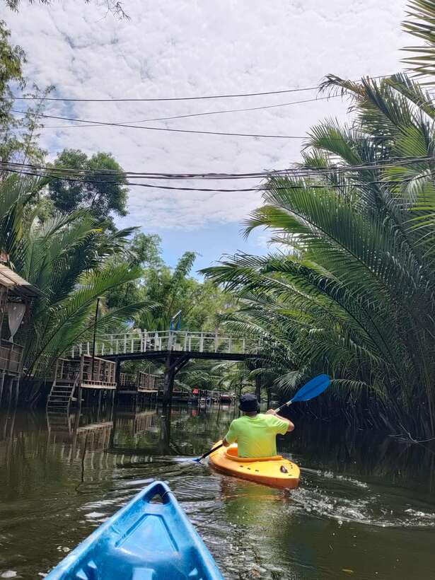 Green Cathedral Kayaking Journey & Reflection River View - Sunset at 3:30pm: when the river turns cinematic