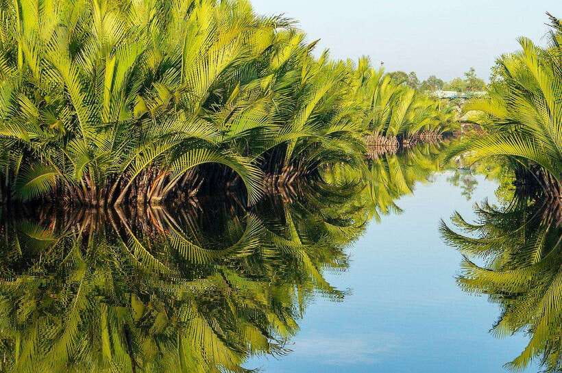 Green Cathedral Kayaking Journey & Reflection River View - Small group pacing: why up to 8 people is a win