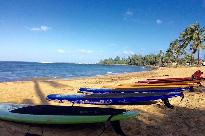Group Stand Up Paddle Lesson and Tour - Sea turtles on the Anahulu route: common sightings, no guarantees