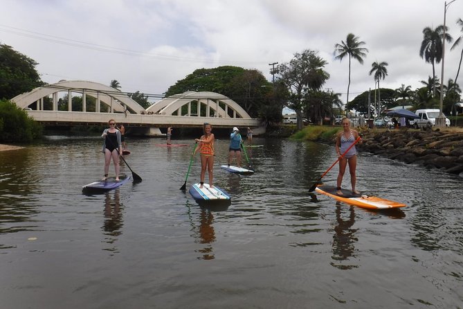 Group Stand Up Paddle Lesson and Tour - What you learn besides paddling: Hawaiian wildlife and Haleiwa context