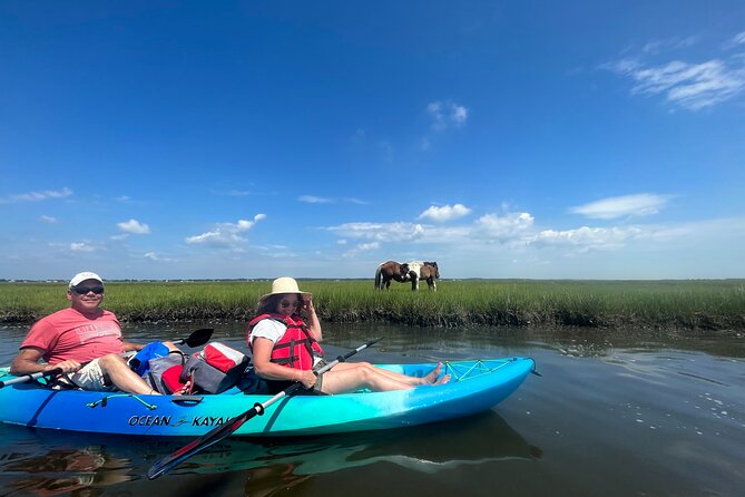 Guided Assateague Kayaking and Wildlife Discovery Tour - Assateague Kayaking, Built for Wildlife Spotting