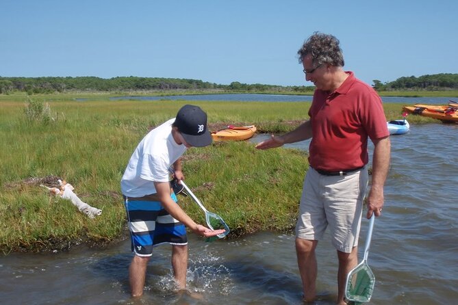 Guided Assateague Kayaking and Wildlife Discovery Tour - What You Actually Do on the Water