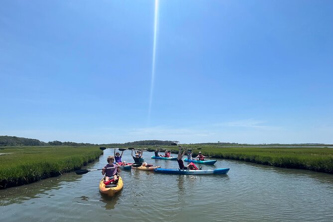 Guided Assateague Kayaking and Wildlife Discovery Tour - Price and Value: $75 Plus the Vehicle Park Fee