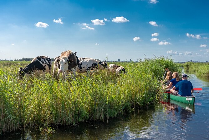 Guided Canoe Adventure with Picnic Lunch in Waterland from Amsterdam - Key highlights that make this canoe day worth it