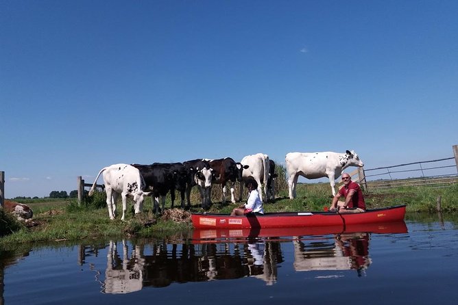 Guided Canoe Adventure with Picnic Lunch in Waterland from Amsterdam - Group size: why max 8 people changes the experience