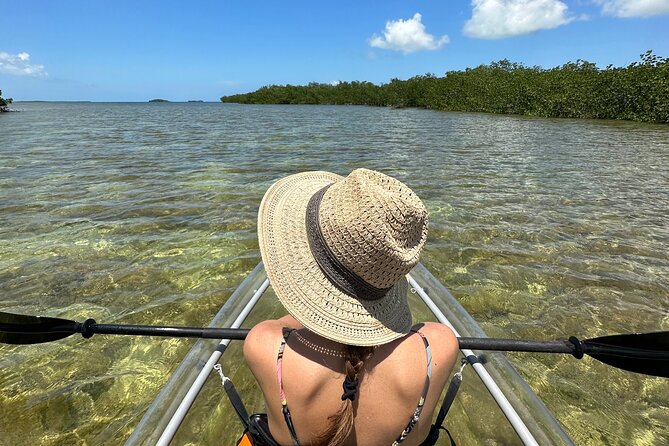 Guided Clear Kayak Eco-Tour Near Key West - Quick hits before you go