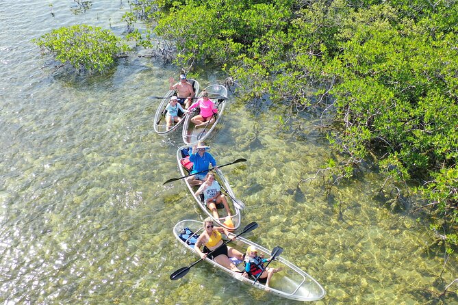 Guided Clear Kayak Eco-Tour Near Key West - The clear-tandem kayak experience: underwater spotting without the guesswork