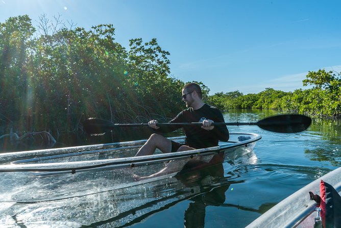 Guided Clear Kayak Eco-Tour Near Key West - The workout factor: mangroves, tight spots, tides, and keeping it fun