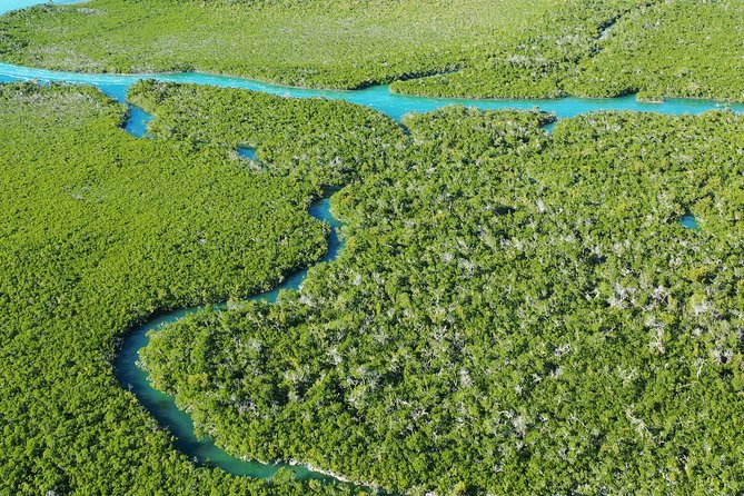 Guided Clear Kayak Eco-Tour Near Key West - What to bring: the missing items that keep you comfortable