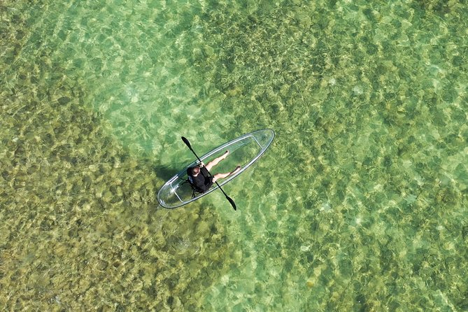 Guided Clear Kayak Eco-Tour Near Key West - Stop 1: Sugarloaf Key channels and mangrove edge time (about 30 minutes)