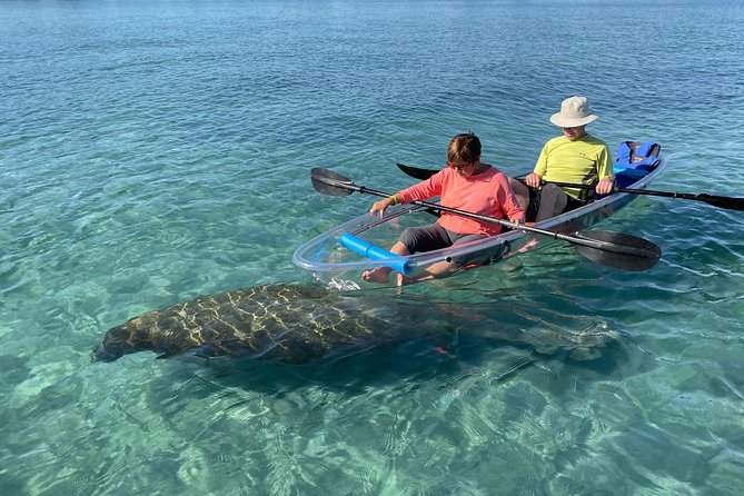 Guided Clear Kayak Eco-Tour of Jupiter - Key things I’d circle before you go