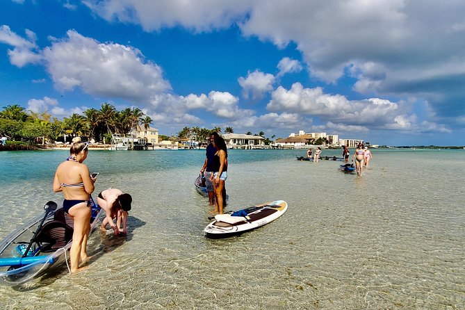 Guided Clear Kayak Eco-Tour of Jupiter - Clear Kayaks and Jupiter’s Inlet: the big idea