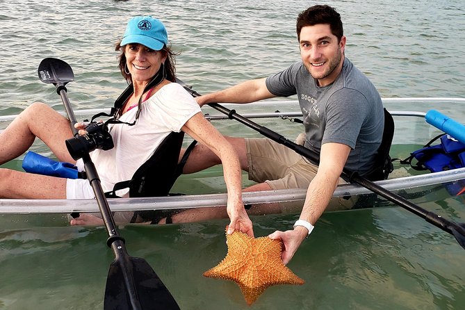 Guided Clear Kayak Eco-Tour of Jupiter - Wildlife odds: what you can realistically hope to see