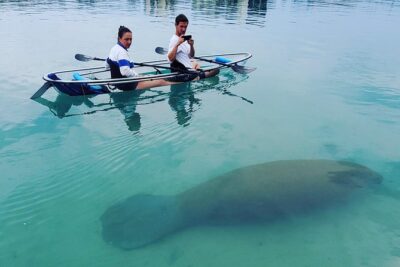 Guided Clear Kayak Eco-Tour of Jupiter - How the guides turn a paddle into a learning experience