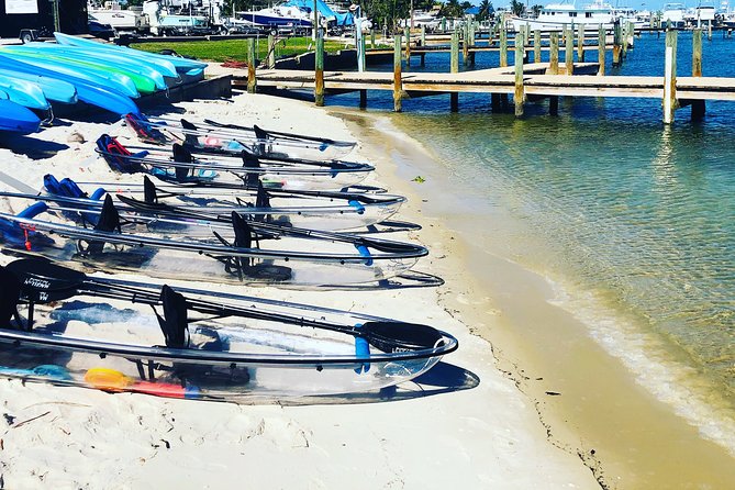 Guided Clear Kayak Eco-Tour of Jupiter - Who should book this eco-tour (and who might want to think twice)