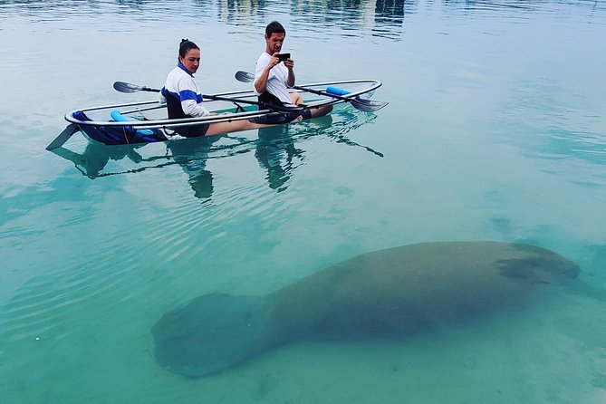 Guided Clear Kayak Eco-Tour of Jupiter - How the guides turn a paddle into a learning experience