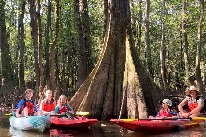 Guided Congaree National Park Kayak Tour - Why Cedar Creek in Congaree Feels So Special