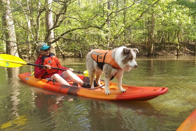 Guided Congaree National Park Kayak Tour - Guides Make or Break a First-Time Kayak Trip