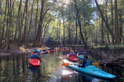 Guided Congaree National Park Kayak Tour - Stop One: Paddling Cedar Creek in Congaree National Park