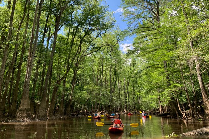 Guided Congaree National Park Kayak Tour - Practical Packing Tips for a Cedar Creek Paddle