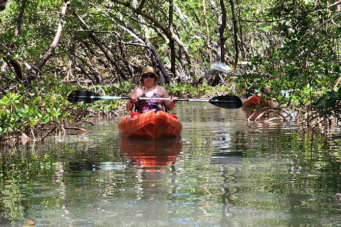 Guided Dolphin Eco Tour by Kayak & SUP - Fort Myers Beach, FL - Big Hickory Island Preserve: The Real Reason This Paddle Is Worth It