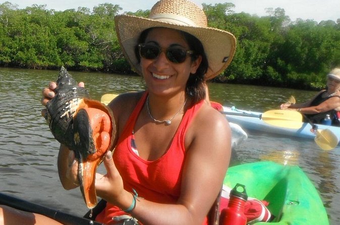Guided Dolphin Eco Tour by Kayak & SUP - Fort Myers Beach, FL - Price Value: How $50 Fits What You’re Getting