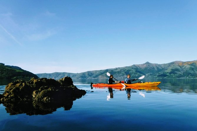 Guided Electric Mountain Bike & Sea Kayak Tour in Akaroa - Price and Value: What $192.38 Really Covers