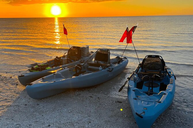 Guided Glow LED Kayak Sunset Activity in Bonita Springs - From Little Hickory Beach Park to the first mangrove tunnel