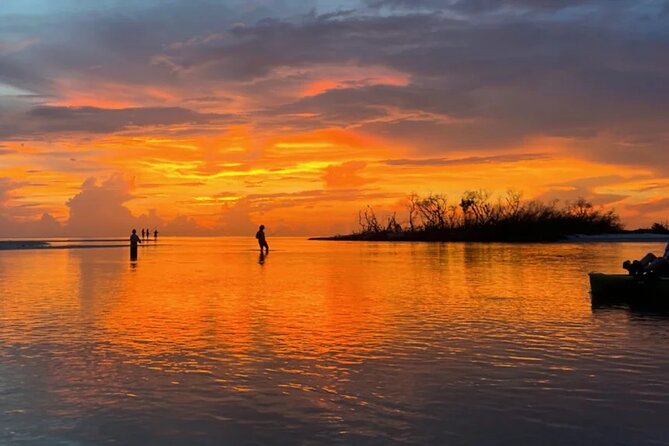 Guided Glow LED Kayak Sunset Activity in Bonita Springs - Who should book this Glow LED Sunset kayak tour