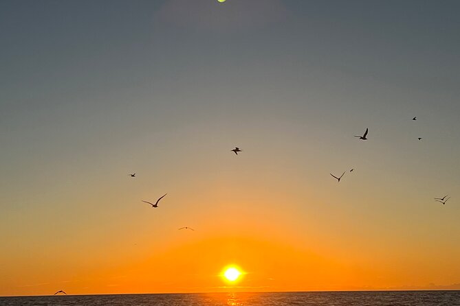 Guided Glow LED Kayak Sunset Activity in Bonita Springs - Practical tips for an easy, fun evening on the water