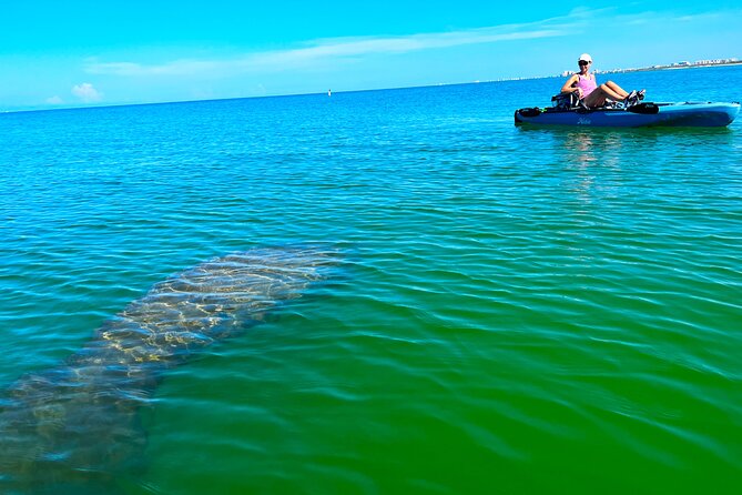 Guided Hobie Kayak EcoTour: Premium Eco Experience Bonita Springs - Key Highlights You’ll Care About