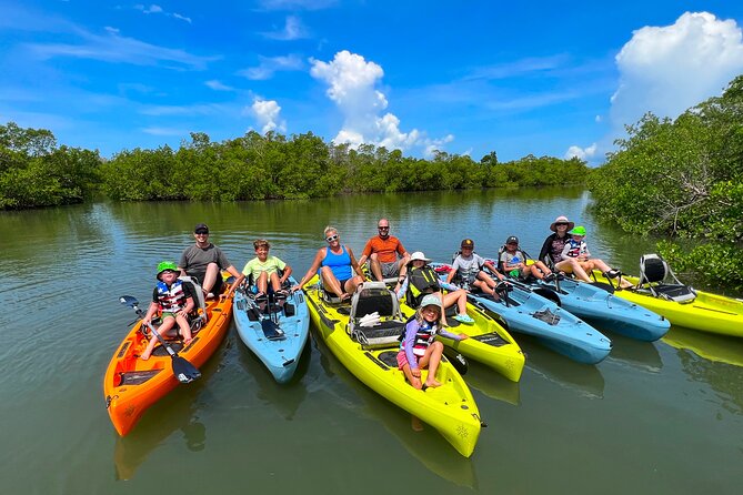 Guided Hobie Kayak EcoTour: Premium Eco Experience Bonita Springs - Big Hickory Pass Bridge Start: Gear-Up and a Fast, Friendly Lesson