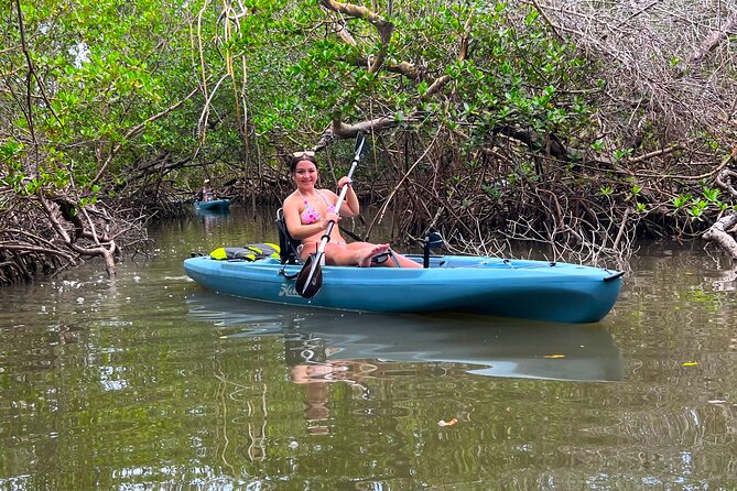 Guided Hobie Kayak EcoTour: Premium Eco Experience Bonita Springs - The Shell-Filled Private Beach Stop: Why This Tour Feels Different