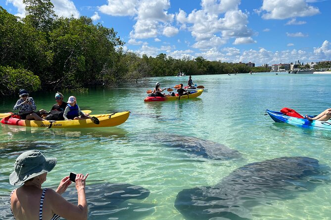 Guided Island EcoTour: CLEAR/Standard Kayak, SUP - Bonita Springs - Key things that make this paddling tour worth your time