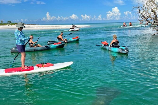 Guided Island EcoTour: CLEAR/Standard Kayak, SUP - Bonita Springs - Wildlife odds: dolphins, manatees, birds, and what’s realistic