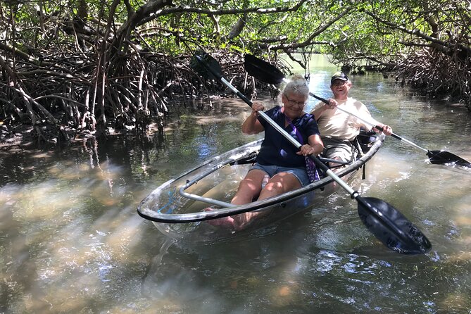 Guided Island EcoTour: CLEAR/Standard Kayak, SUP - Bonita Springs - Photos, guides, and the value of not doing it alone