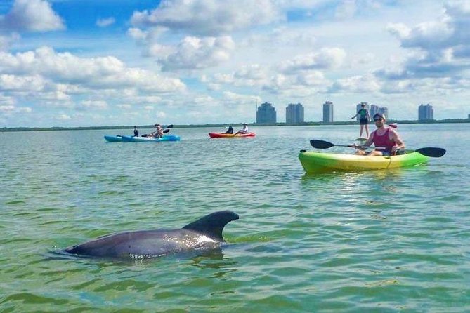 Guided Island EcoTour: CLEAR/Standard Kayak, SUP - Bonita Springs - Who this tour suits best (and who should consider another plan)