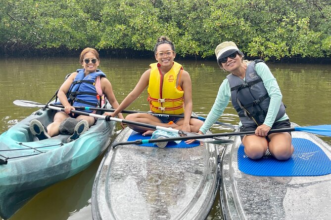 Guided Island EcoTour: CLEAR/Standard Kayak, SUP - Bonita Springs - CLEAR kayak, standard kayak, or SUP: picking the craft that fits your day
