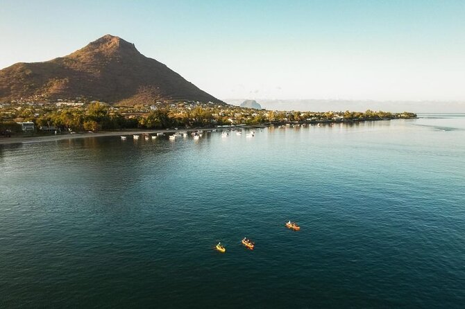 Guided Kayak 2-Hour Activity with Dolphins - Sunrise Kayak to Tamarin Bay: what this dolphin tour really offers