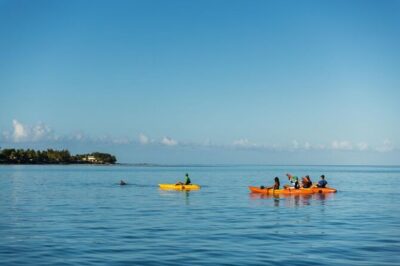 Guided Kayak 2-Hour Activity with Dolphins - Paddling effort and safety: who this is for (and who it isn’t)