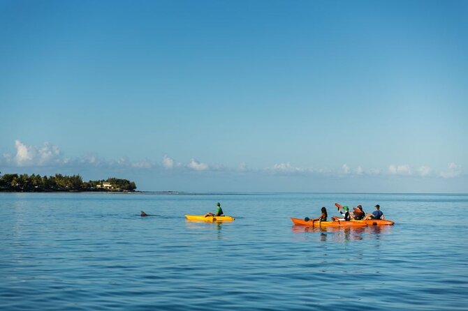Guided Kayak 2-Hour Activity with Dolphins - Paddling effort and safety: who this is for (and who it isn’t)
