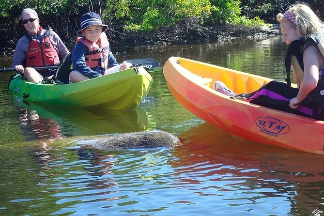Guided Kayak Dolphin Eco Tour in Pelican Bay - Guides Make the Difference: Jay, Ty, Sky, Mike, and Jessica
