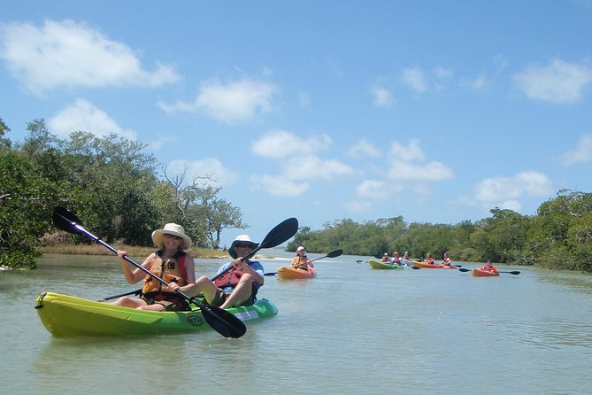 Guided Kayak Eco Tour - Bunche Beach - Key Things That Make This Bunche Beach Kayak Tour Worth It