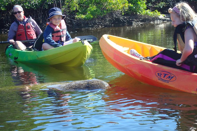 Guided Kayak Eco Tour - Bunche Beach - Guided Kayaking From Bunche Beach: What You Actually Do for 3 Hours