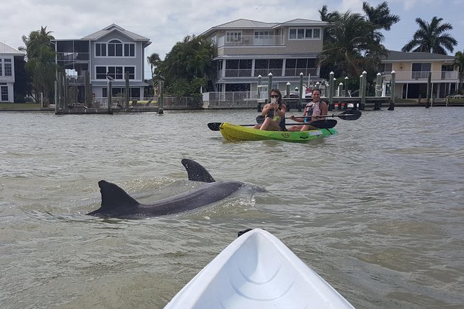 Guided Kayak Eco Tour - Bunche Beach - Gear, Water Safety, and Dry Bag Decisions