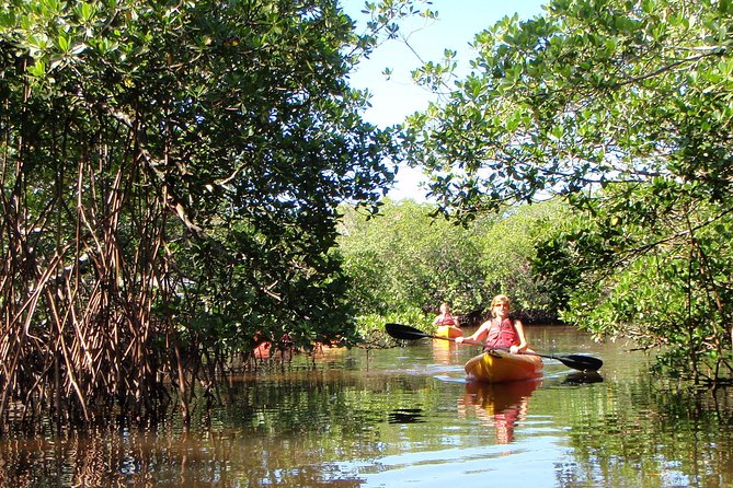 Guided Kayak Eco Tour - Bunche Beach - Mosquitoes, Crabs, and Wave Anxiety: What to Pack and Expect
