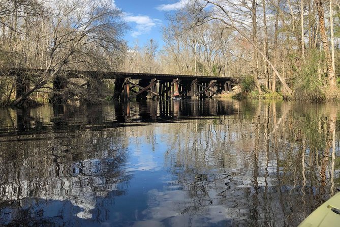 Guided Kayak Eco Tour: Real Florida Adventure - Wildlife You Actually Want to See (Not Just Hope for)