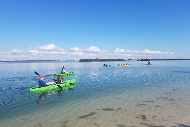 Guided Kayak EcoTour of Beautiful Shell Key Preserve - Key things to know before you go